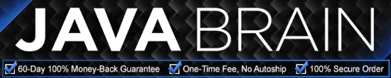 Java Brain