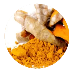 Turmeric